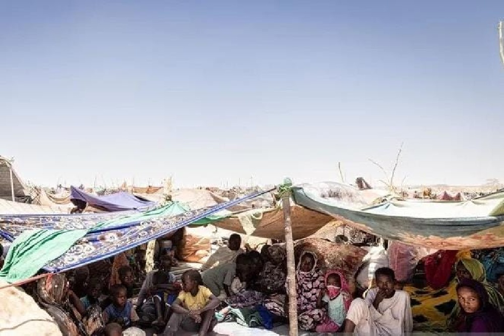 Stok Pangan di Sudan Kritis, PBB Minta Dana Mendesak