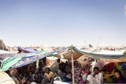 Stok Pangan di Sudan Kritis, PBB Minta Dana Mendesak