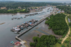 Indonesia Miliki Jutaan Hektare Mangrove, Tertuang di Peta Nasional