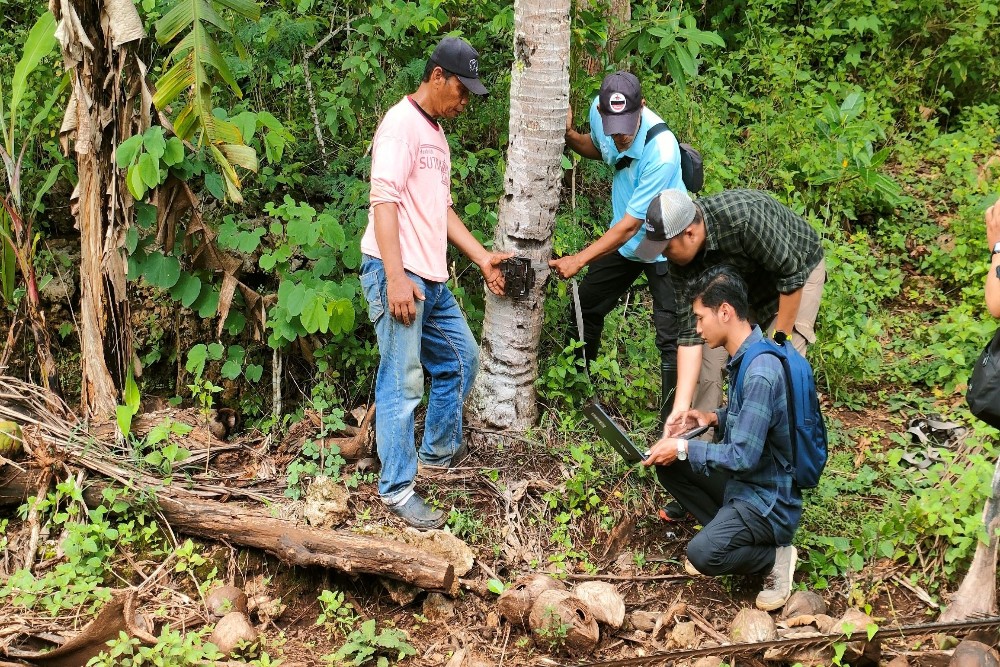 Jejak Diduga Macan Muncul di Semanu, BKSDA Pasang Kamera Trap