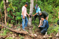 Jejak Diduga Macan Muncul di Semanu, BKSDA Pasang Kamera Trap