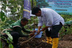 Kopi Arabika Menoreh Disiapkan Jadi Andalan Baru Petani Kulonprogo