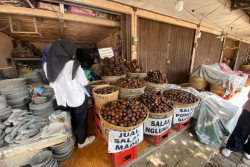 Pemkab Magelang dan Vokasi UGM Petakan Salak Nglumut