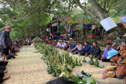 Tangkap Ikan Pakai Getah Awali Sedekah Laut di Pantai Wediombo