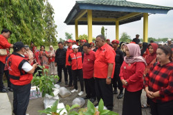 PDIP DIY Gelar Merawat Pertiwi, Jaga Hubungan Manusia dan Alam