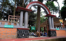 Angin Kencang Tumbangkan Pohon di Gunung Tidar, 1 Peziarah Meninggal