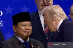 Keikutsertaan Indonesia di Dewan Perdamaian Gaza Dinilai Berisiko