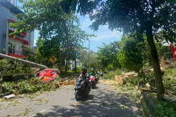 Dampak Angin Kencang Sleman: Puluhan Rumah Rusak, 2 Tewas dan 6 Luka