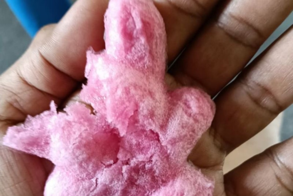 Polres Metro Jakpus Pastikan Es Gabus Viral Aman Dikonsumsi