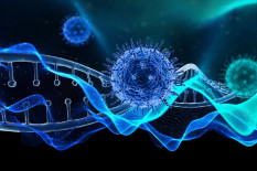 Indonesia Diminta Tirukan Negara Tetangga Cegah Virus Nipah