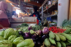 Harga Sayuran di Bantul Anjlok saat Panen Raya, Pedagang Mengeluh