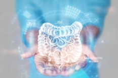 Penyakit Radang Usus Kronis Meningkat, Dokter Ingatkan Risikonya