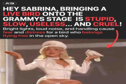 Aksi Merpati Hidup di Grammy 2026, Sabrina Carpenter Tuai Kritik PETA