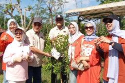 AYWS Luncurkan Konsep Wellness School, Pendidikan Tak Sekadar Akademik