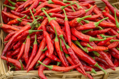 Harga Cabai Fluktuatif, Disperindag DIY Pastikan Stok Aman