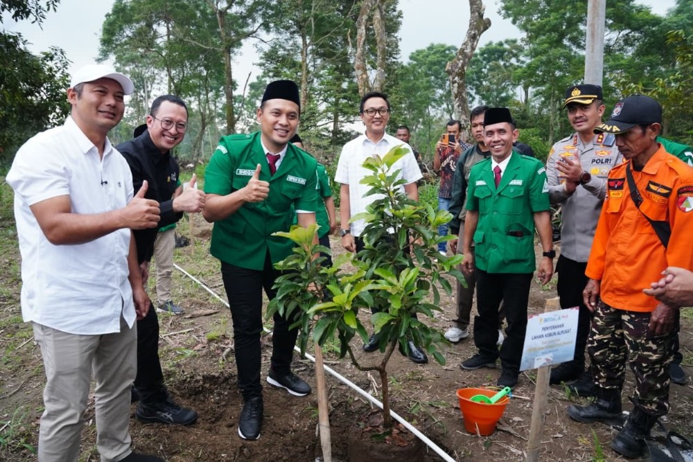 PLN Gandeng Ansor dan Pemkab Boyolali Tanam Alpukat di Lereng Merapi